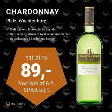 2023 Chardonnay, Pfalz, Weinland Wachtenburg, Tyskland